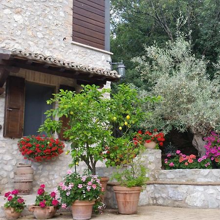 Villa Eremo Delle Fate Spoleto Exterior foto